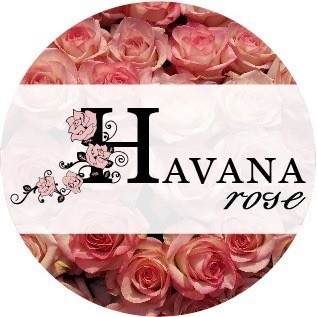 Havana-rose